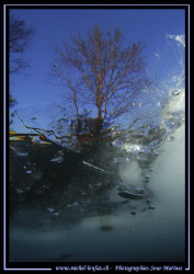 End of today's dive... Water, Ice and a Tree... The water... by Michel Lonfat 